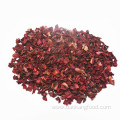 Hot Sell Dehydrated Red Beet Cubes
